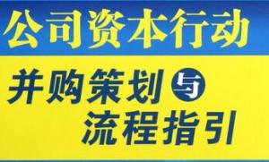 企业并购策划